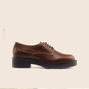 Maguire shoes Parada Brown Oxfords